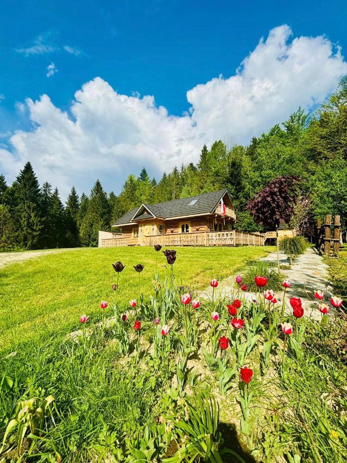 B&B Szczawa - Oskarówka domek w górach na odludziu z jacuzzi i sauną - kominek i Netflix - Bed and Breakfast Szczawa