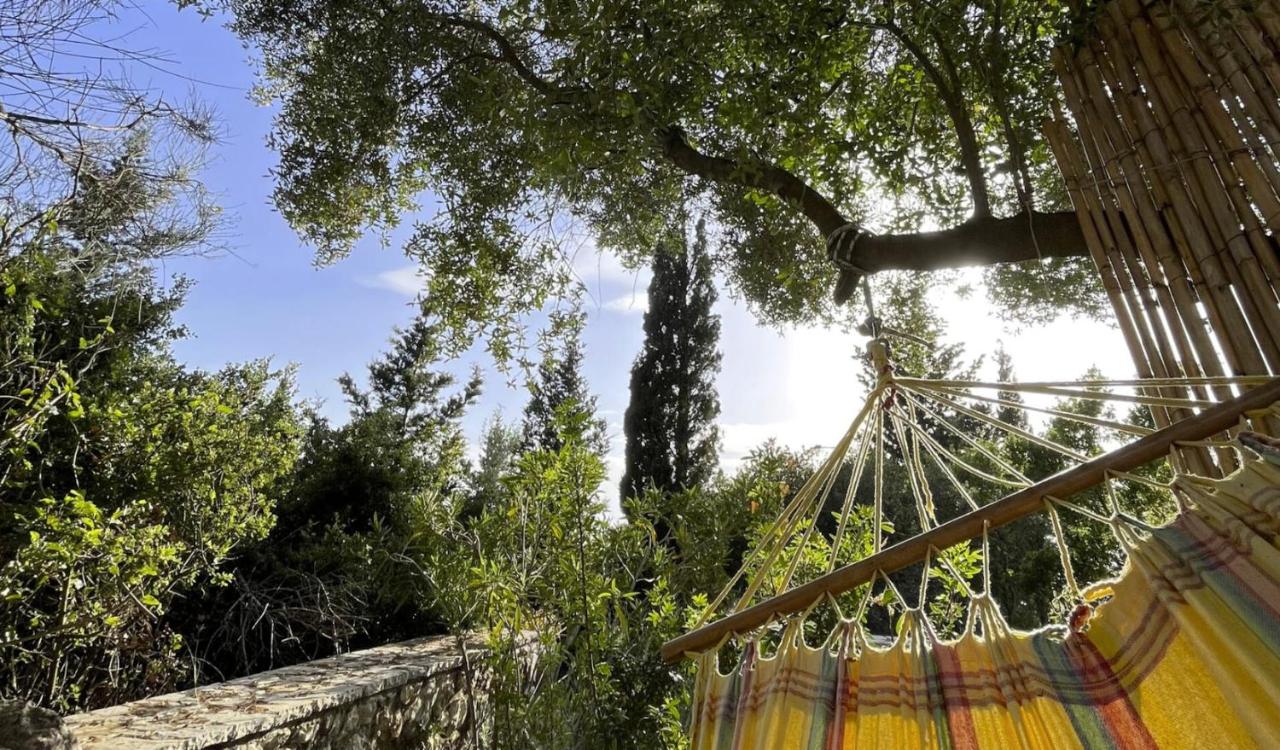 La casa tra gli alberi e il cottage - B&B Fiskárdo