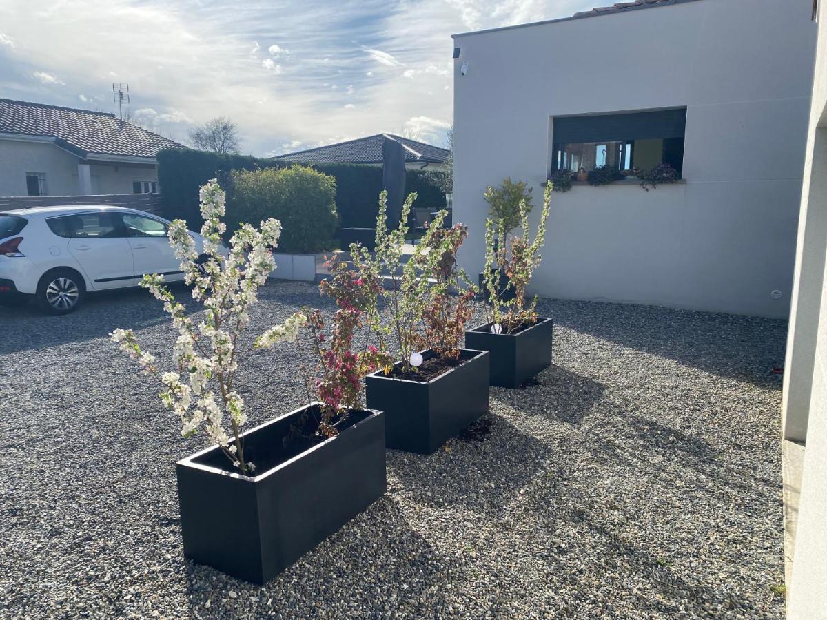 Maison grand studio indépendant avec jardin et piscine communs - B&B