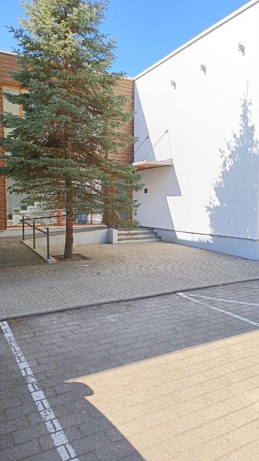 Papli Holiday Studio - Bed and Breakfast