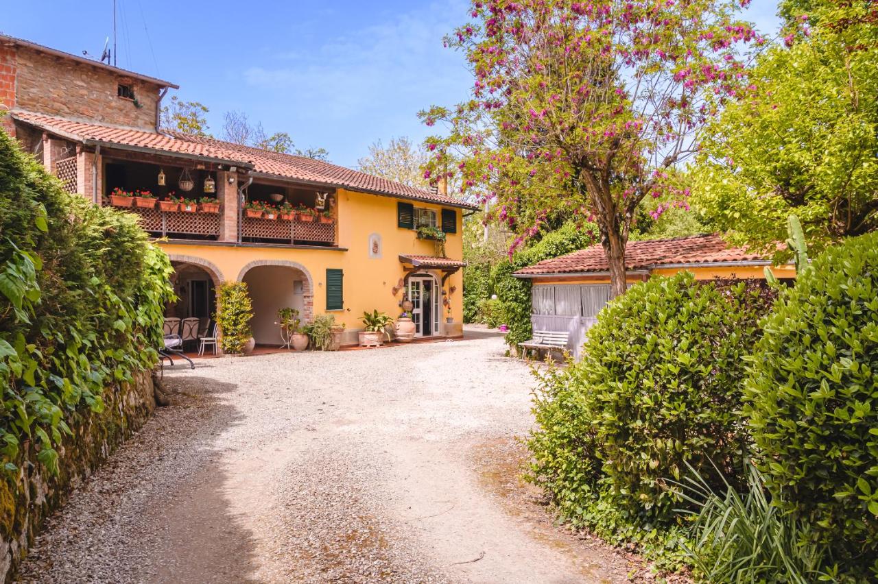 Il Cerretello - Tuscan Experience - Ferienwohnung Lucignano