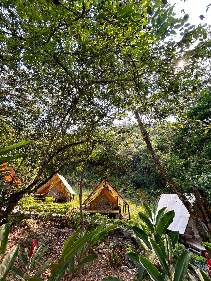 Glamping Guayaha - B&B