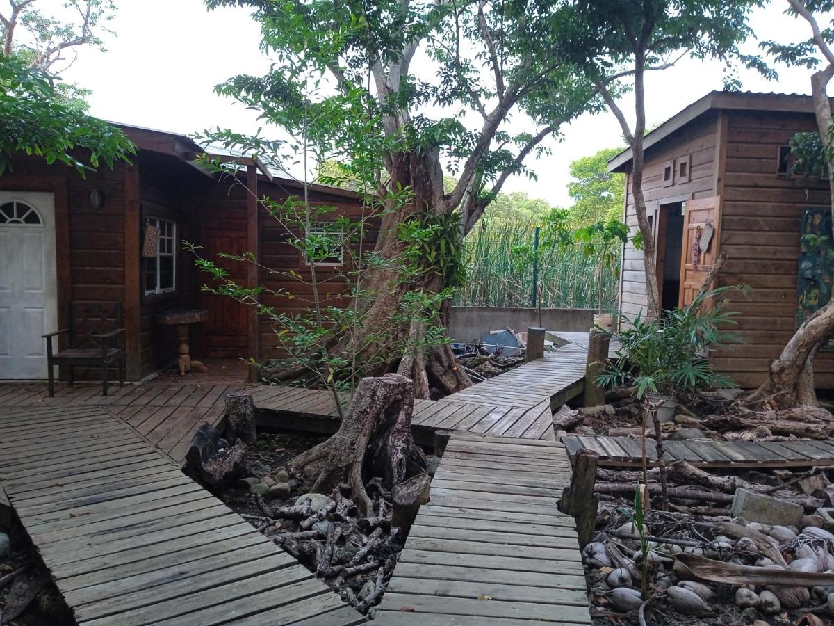 casa de huéspedes selvatica - B&B