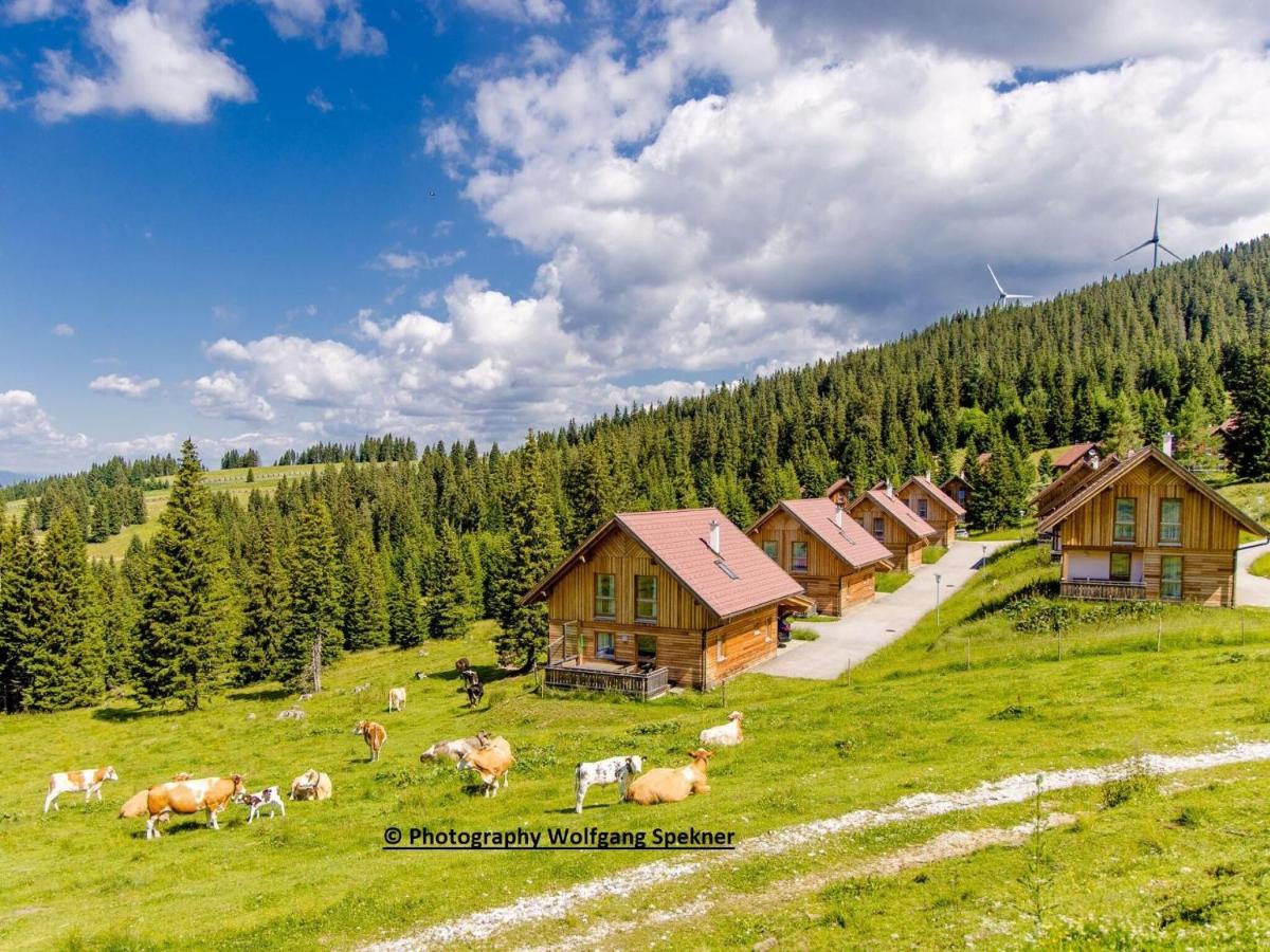 B&B Posch Alpe - Beautiful Holiday Home in Weinebene with Sauna - Bed and Breakfast Posch Alpe
