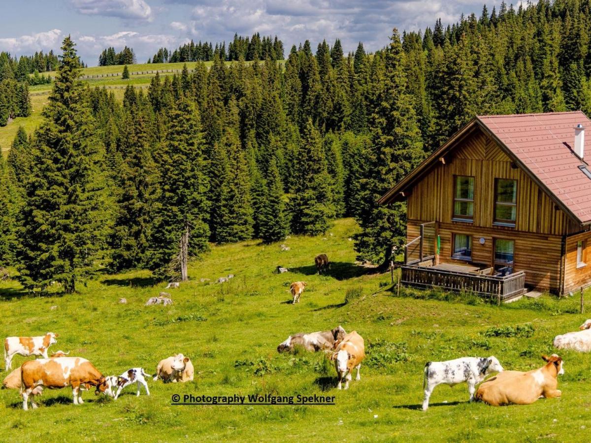 Chalet in Kärnten mit Sauna nahe Skipisten - B&B Weinebene
