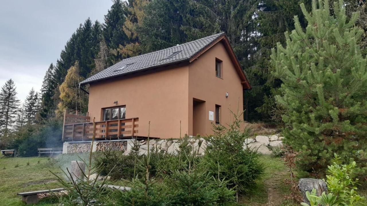 Chata OSTRUZINA 9 - Ferienwohnung