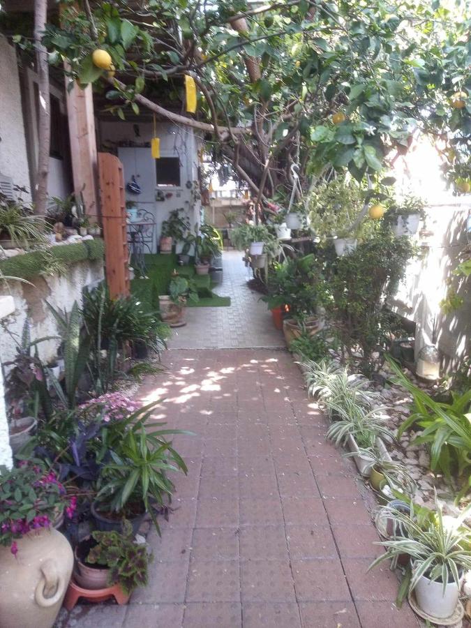 Zimer in rehovot - B&B