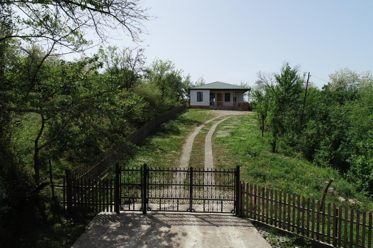Renovated 3-bedroom House in Nature - Iskia Estate - Chambres d'hôtes Martvili