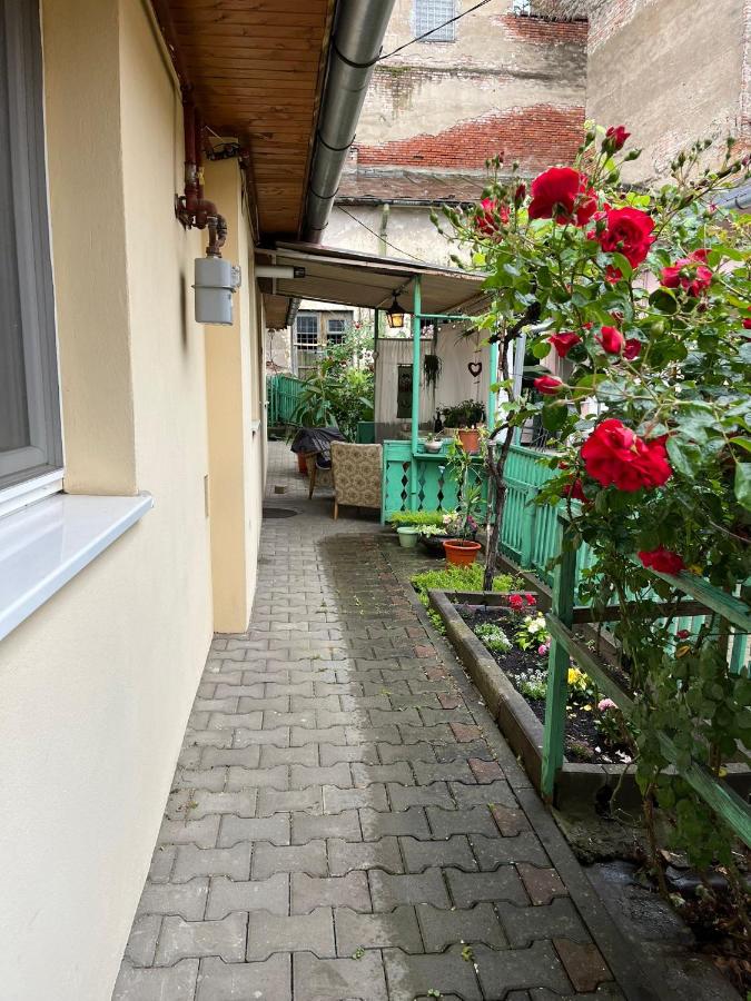 Emese Central Vintage Apartment - Chambres d’hôtes Târgu Mureş