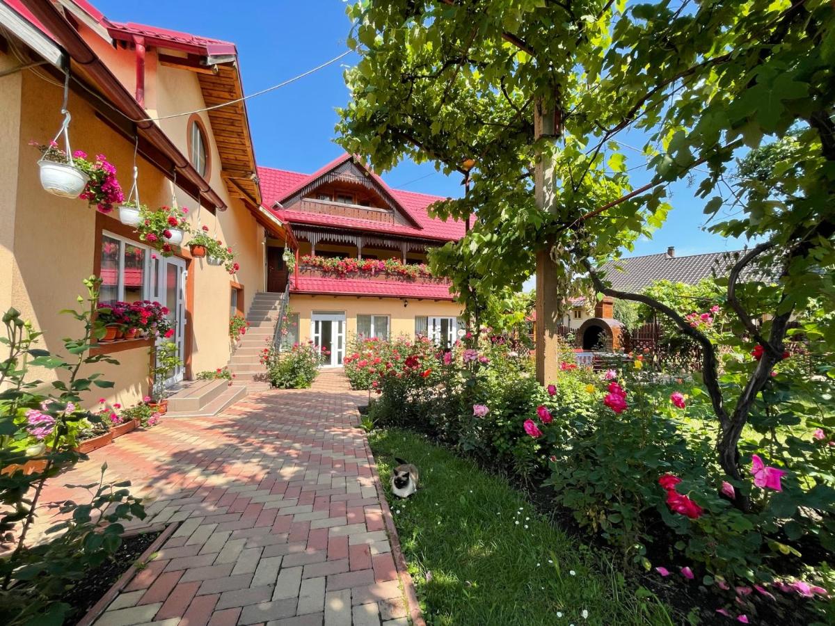 B&B Agapia - Pensiunea Alina - Bed and Breakfast Agapia