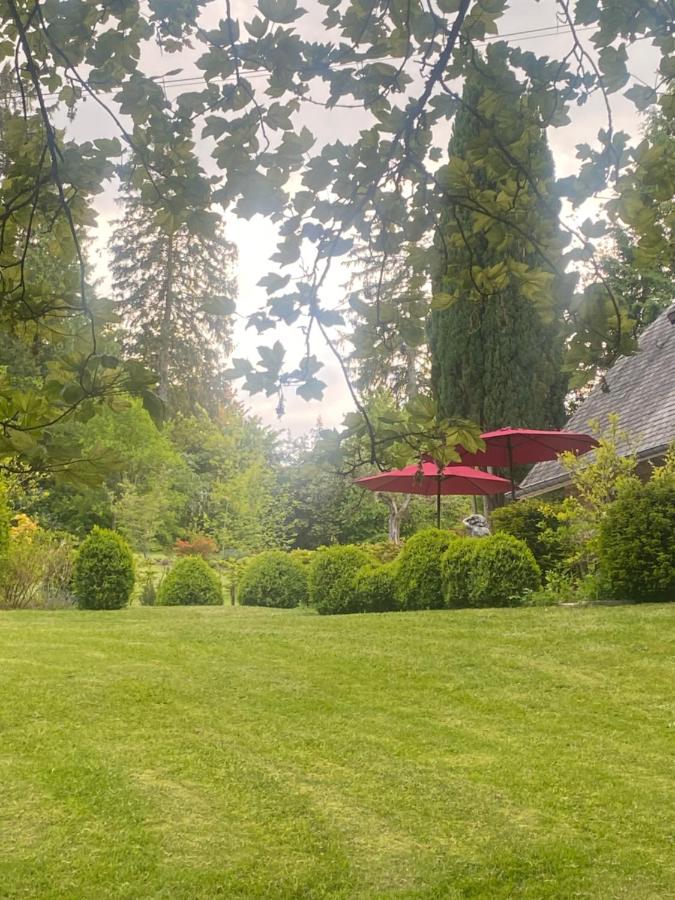 La Kabane des Hetres rouges - B&B