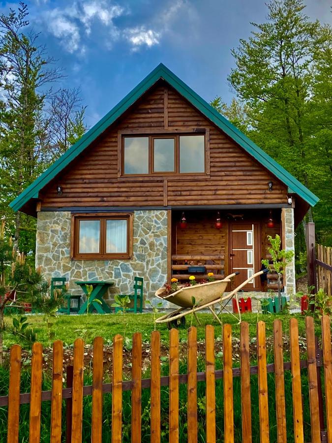 B&B Mojkovac - Mountain Star House - Bed and Breakfast Mojkovac