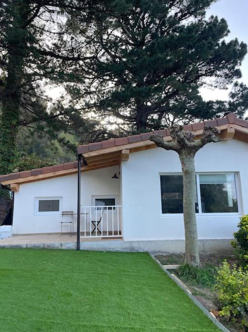 Monte y playa junto al mar - B&B