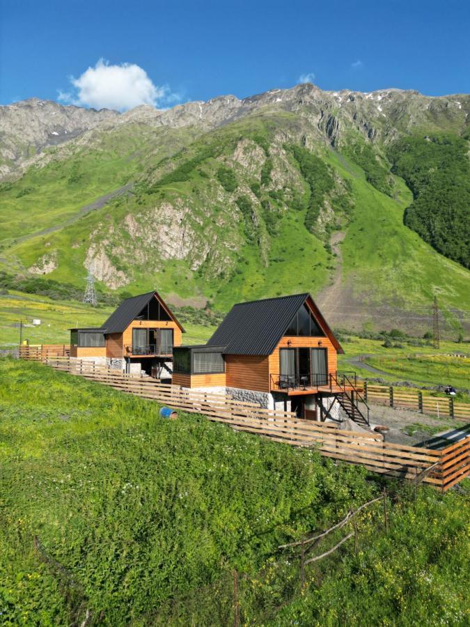 B&B Stepantsminda - Traveler's Cottages in Kazbegi - Bed and Breakfast Stepantsminda