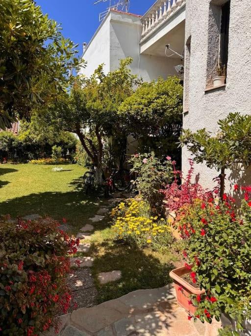 Family Woodland Oasis VIPGreece - Chambres d’hôtes
