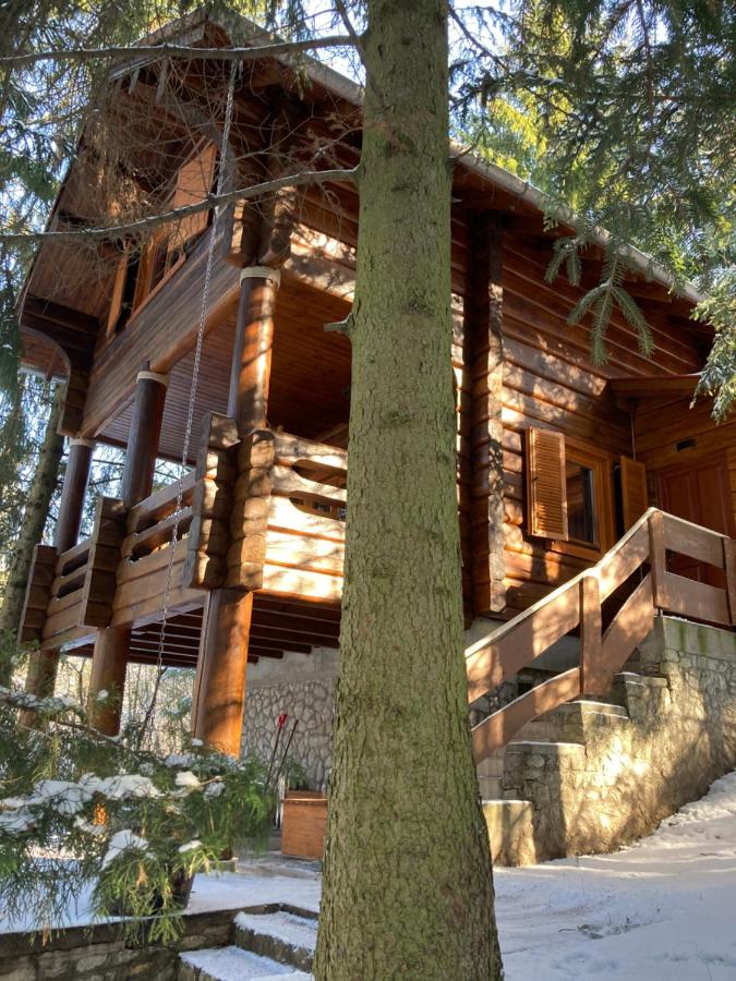 A fák ölelése vendégház - Ferienwohnung Bükkaranyos