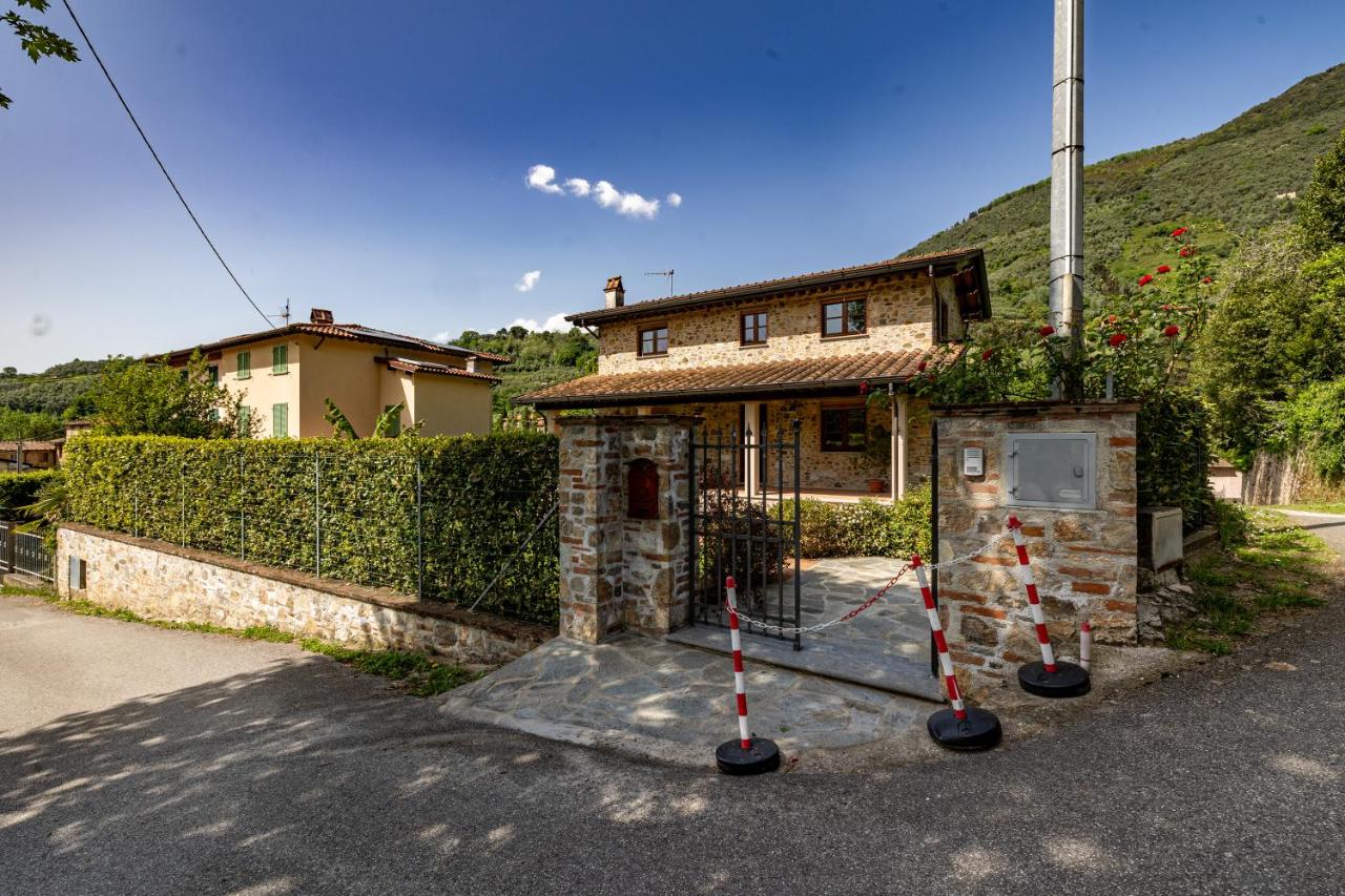 Villa Vittoriano - Surrounded By Nature - Happy Rentals - B&B Camaiore