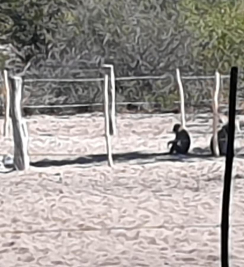 Paradise Camp Delux Rooms - Bed and Breakfast
