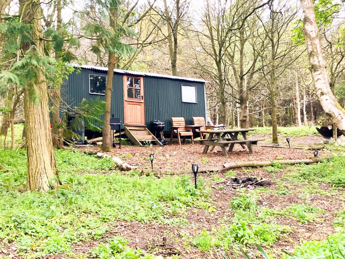 North Norfolk Glamping - Bed and Breakfast