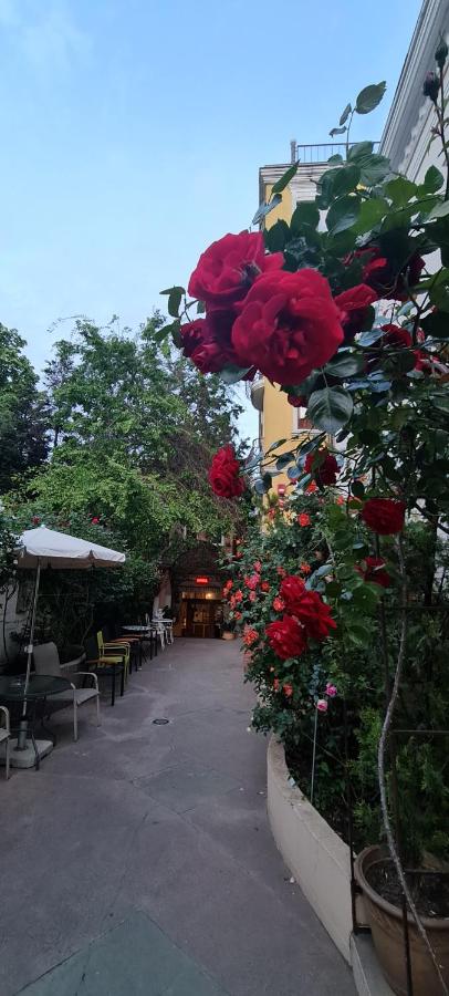 Casa Michelangelo - B&B