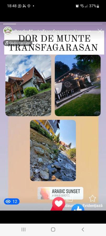 Dor de Munte Transfăgarasan - Chambres d’hôtes