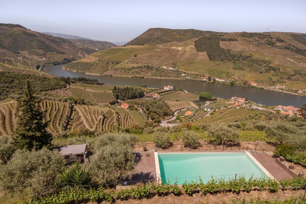 Feel Discovery Alvim's Douro - B&B