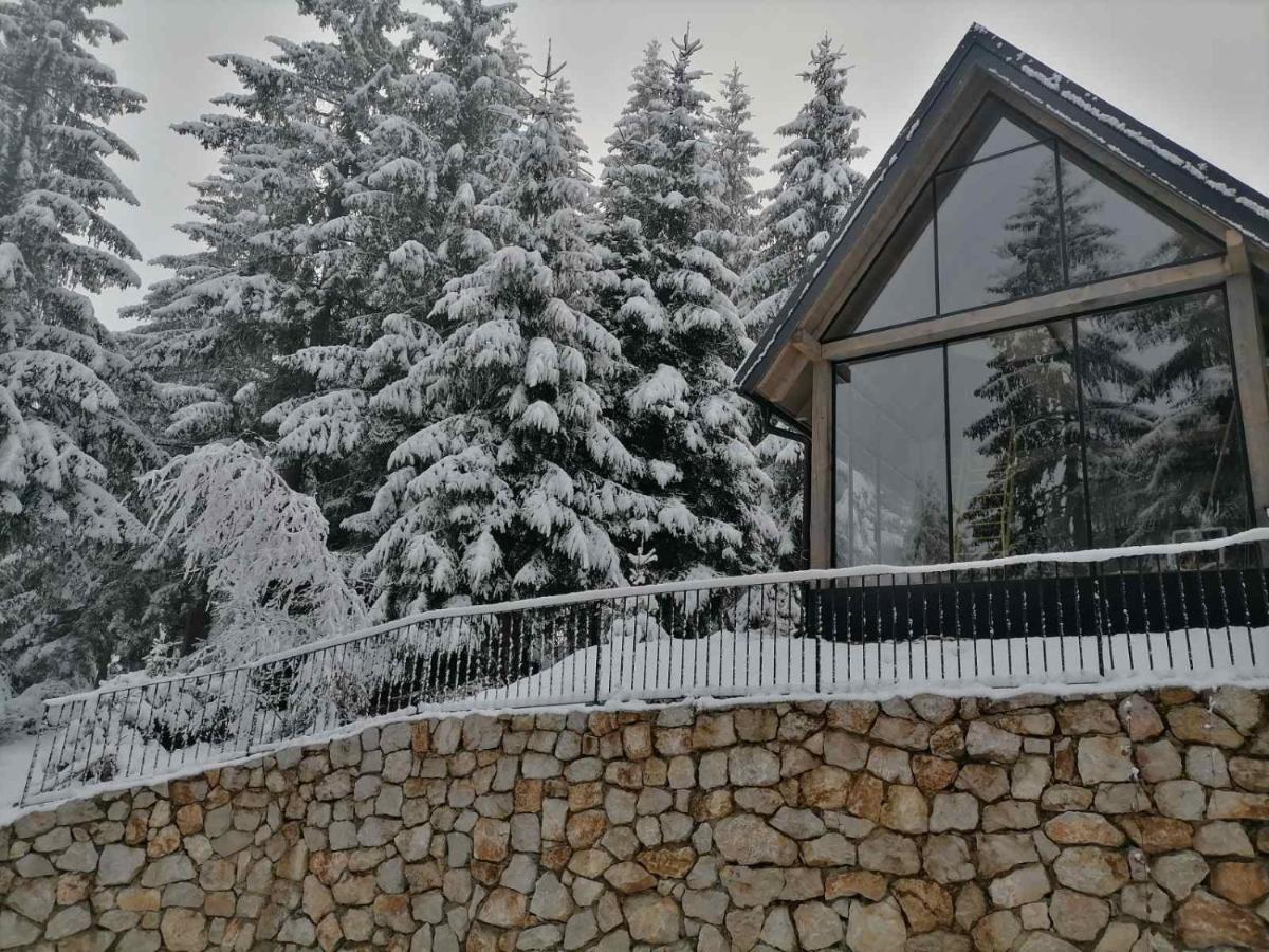 ZlatAir Twins - B&B Nova Varoš