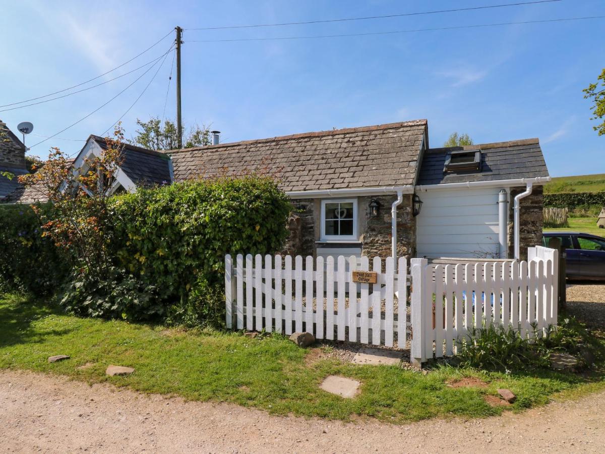 Toad Hall Cottage - B&B