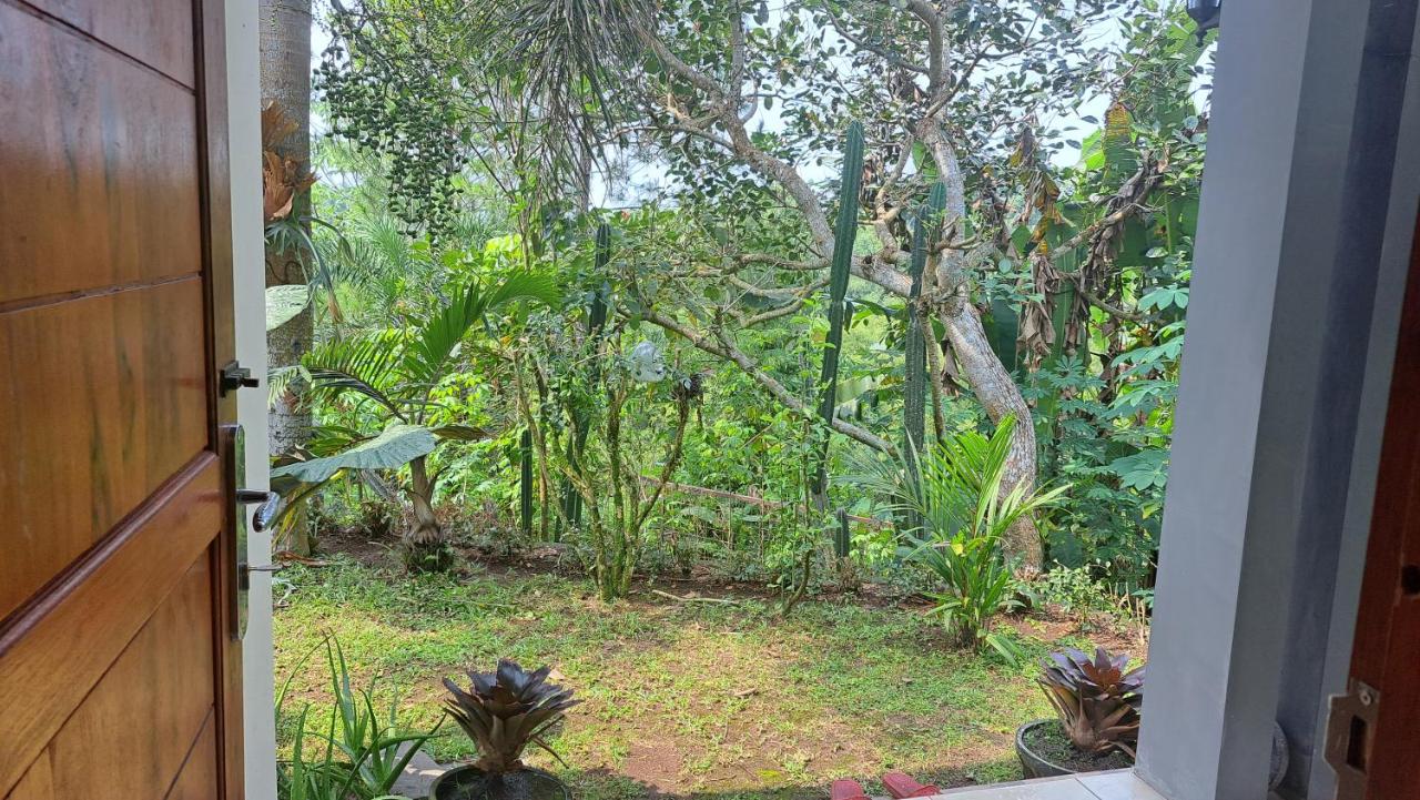 Penginapan Homestay Villa Pesona Alam Magelang Borobudur - B&B