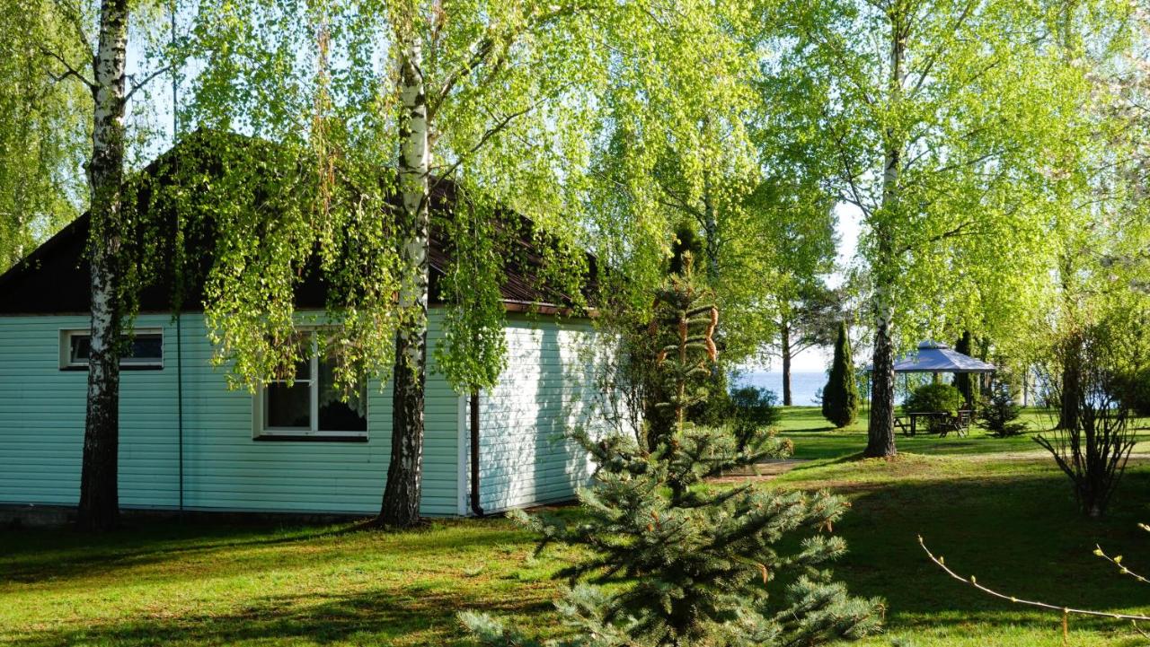 Дом для відпочинку, у парку, на березі моря - Ferienwohnung