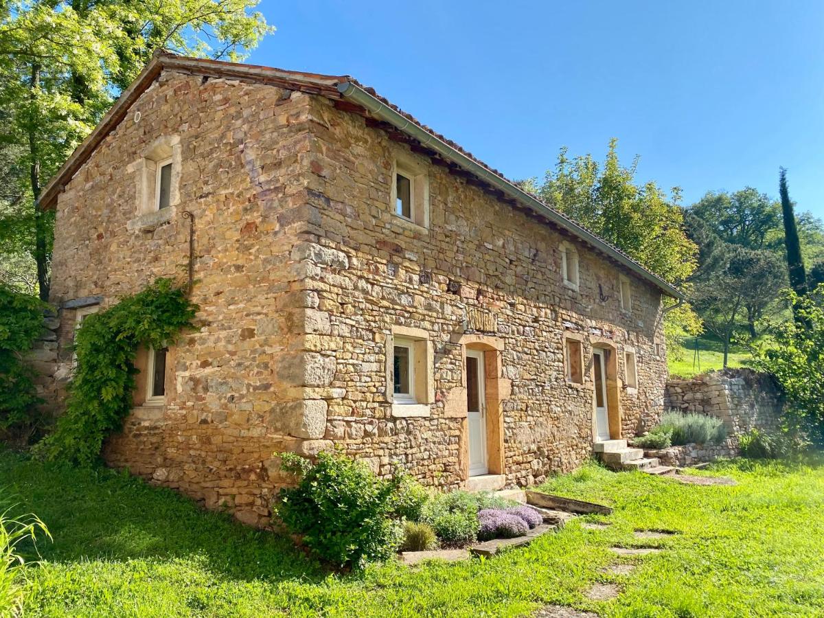 Le Petit Chaudenas - Private Pool and Woodland - B&B