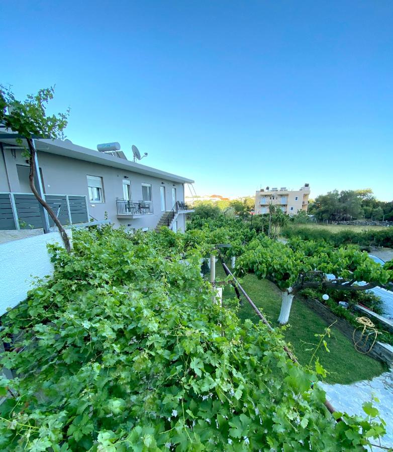 Stelios Studios Sougia - B&B Soúgia