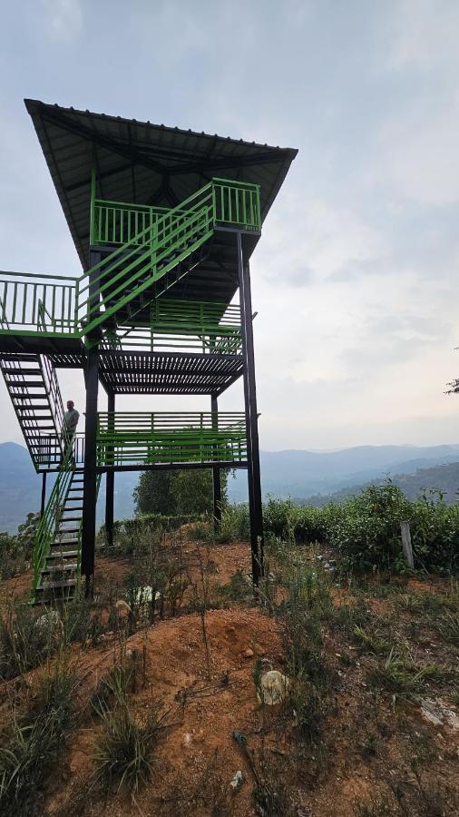 Tea Mitra Holiday Homes - Bed and Breakfast Vagamon