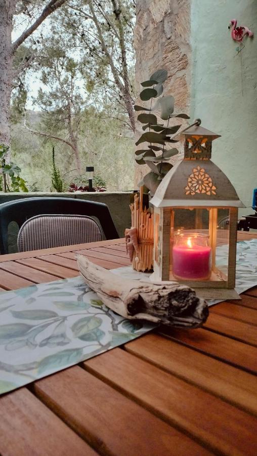 DomuNosta Pinus Village - B&B