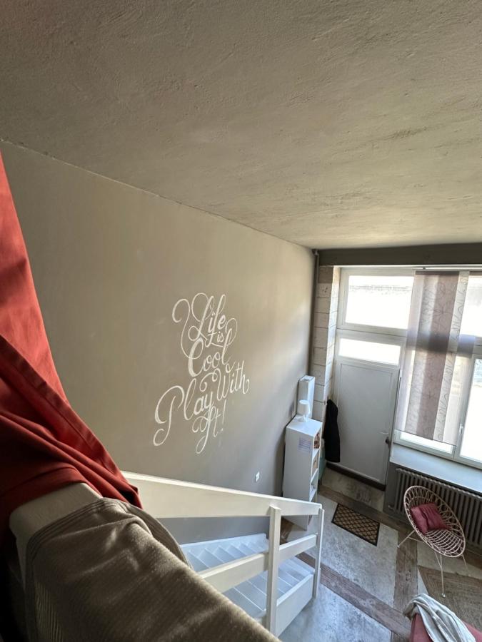 La cabane limougeaude - B&B