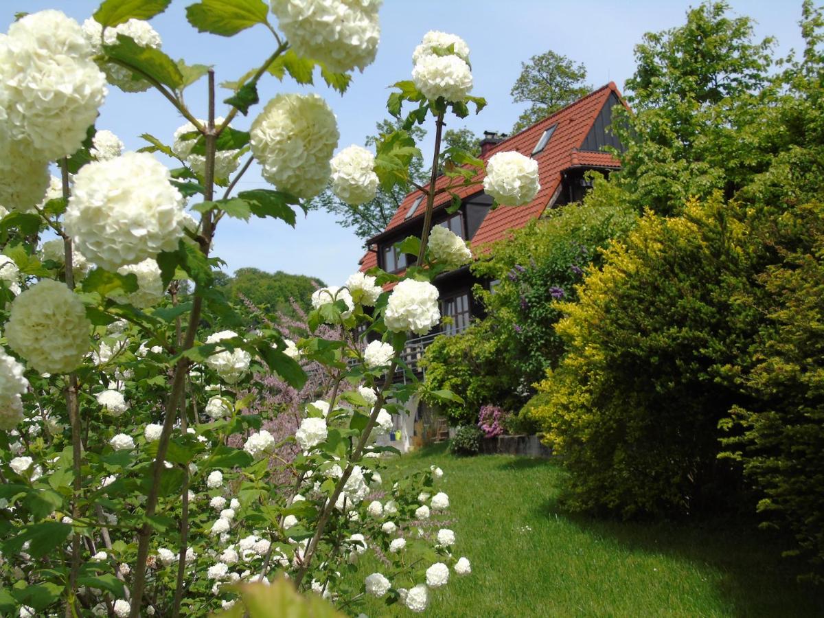 Villa-Bajka - Chambres d’hôtes Wisła