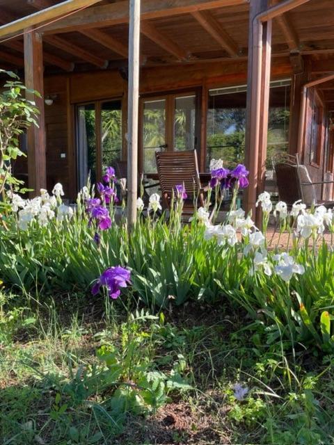 Chalet Mimosa - Chambres d’hôtes