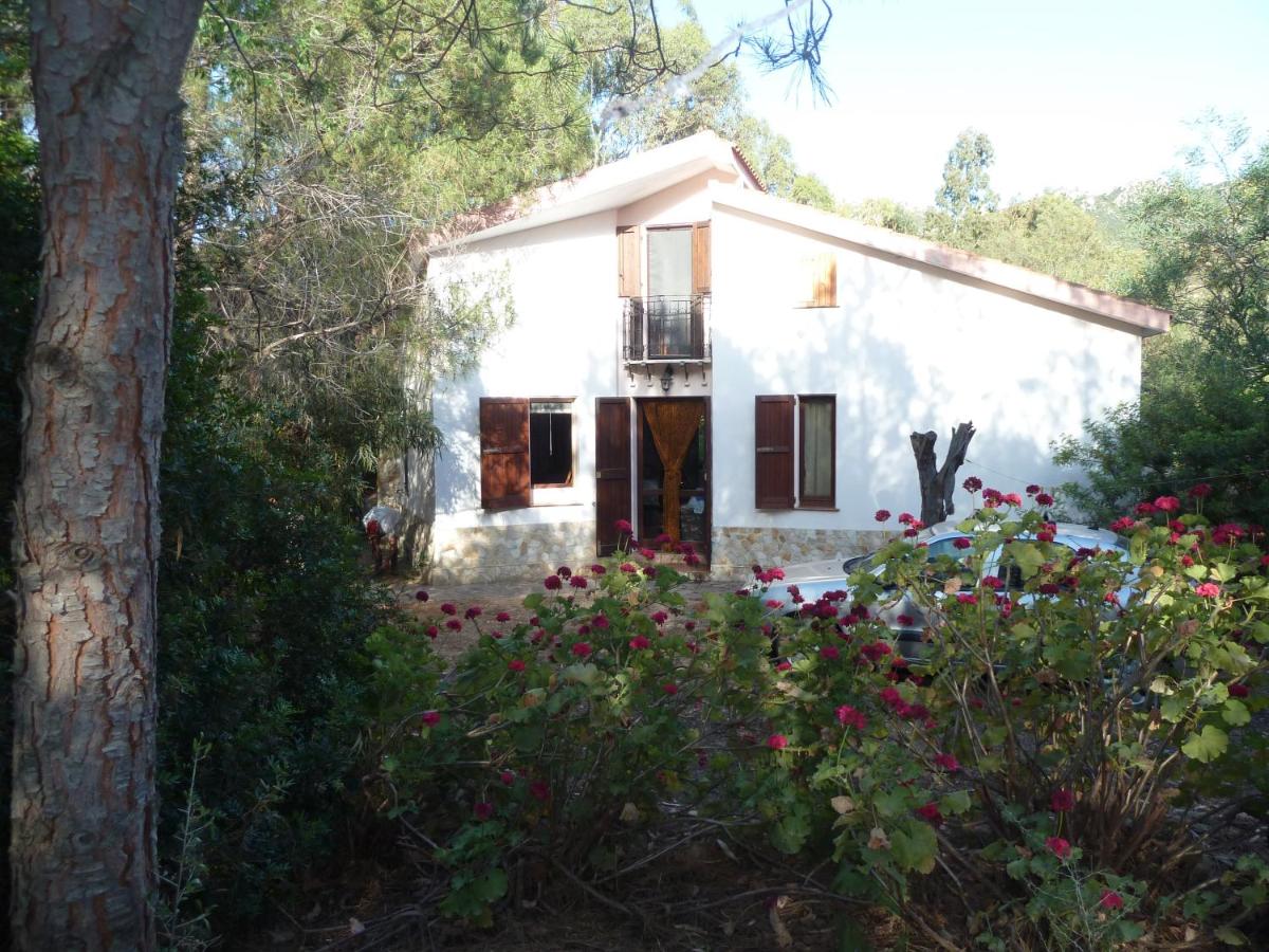 Villa dei Pini , Solanas Villasimius - B&B Solanas