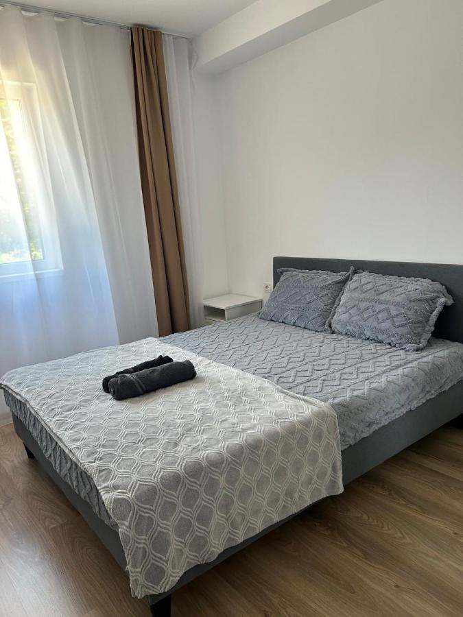 B&B Timișoara - Premier Apartament - Bed and Breakfast Timișoara