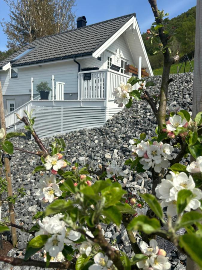 B&B Hjelmeland - Fjord road - Bed and Breakfast Hjelmeland