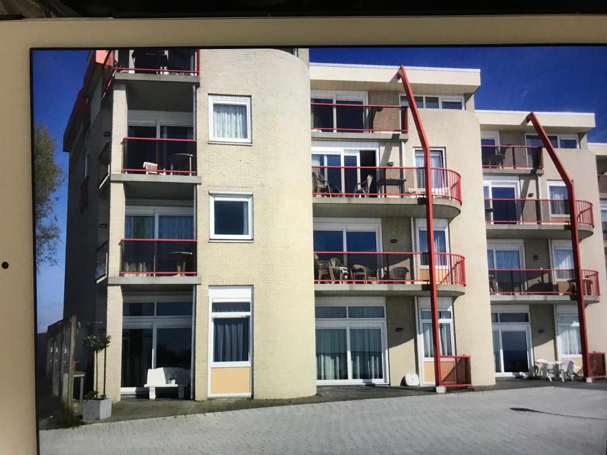 Apartment - Erdgeschoss
