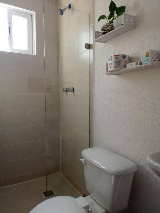 Departamento completo cerca del Poliforum León - B&B Sofía