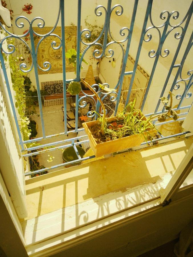Maison Albatros - Chambres d’hôtes