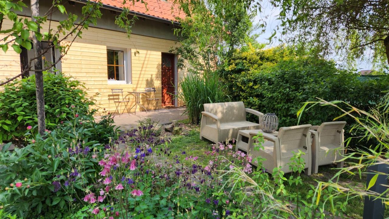 Apartmán YASNE - B&B