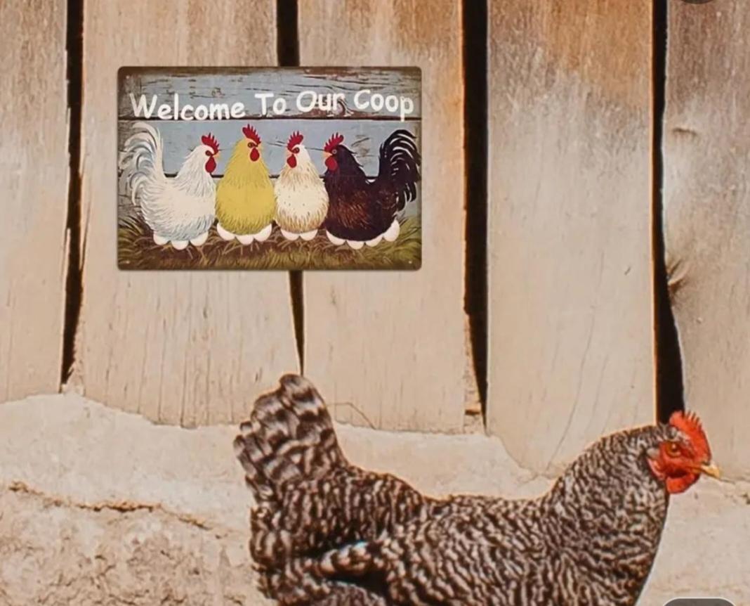 The Coop - Bed and Breakfast