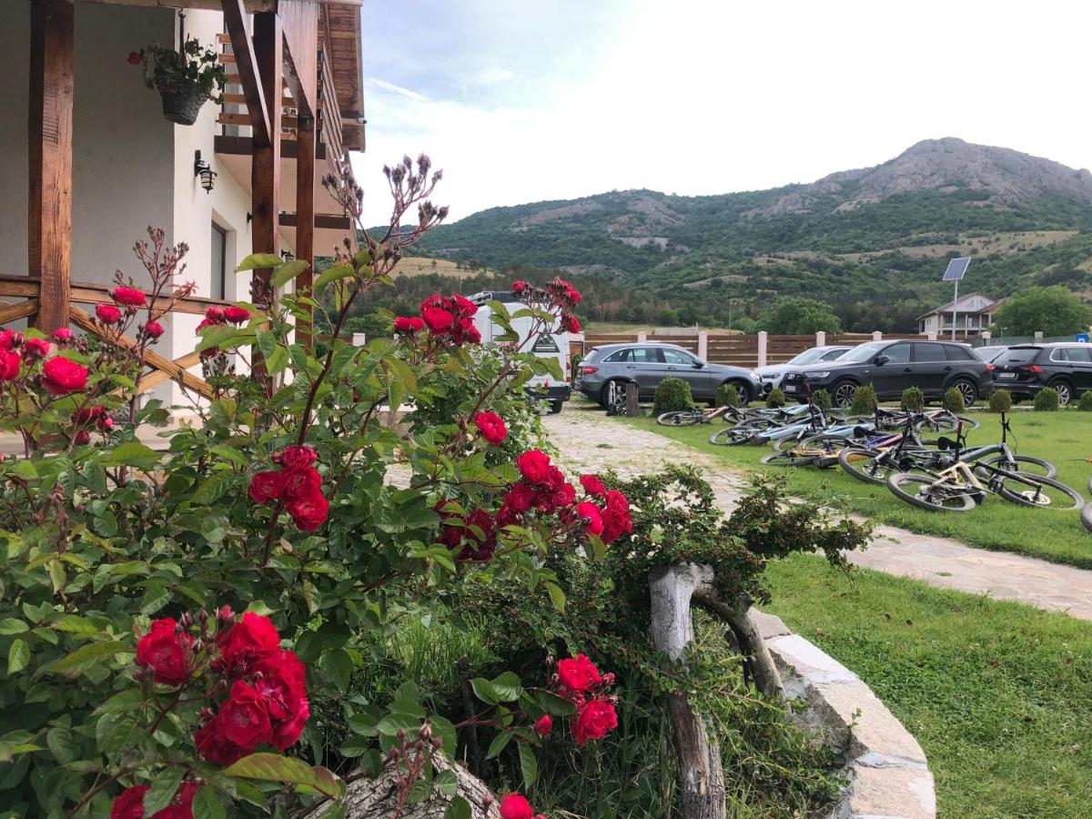 Plai Dobrogean - B&B Greci