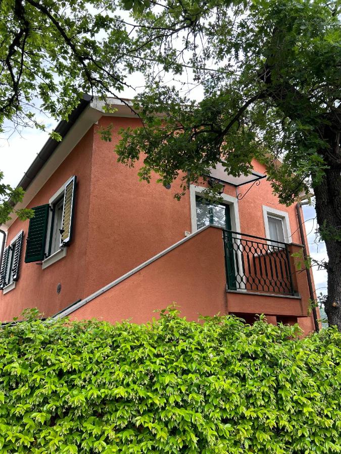 Superior Twin Room with Garden View