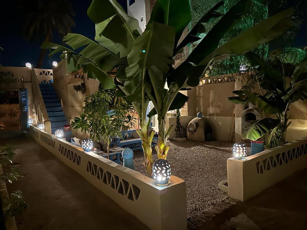 B&B Luxor - Villa Rebecca Professor's paradise - Bed and Breakfast Luxor