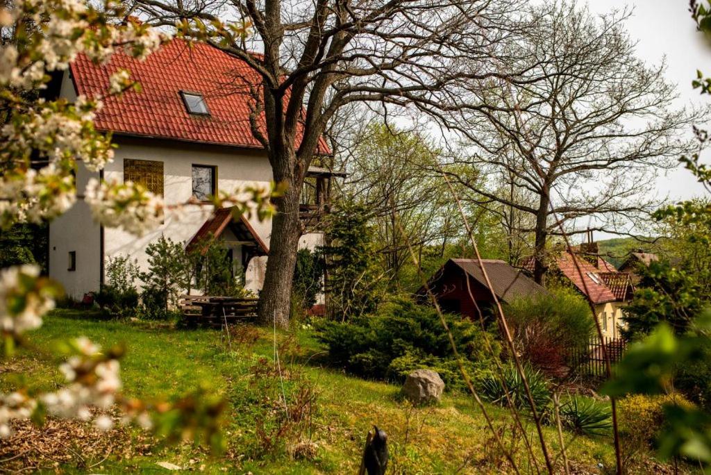 Domek pod dębami - Chambres d’hôtes