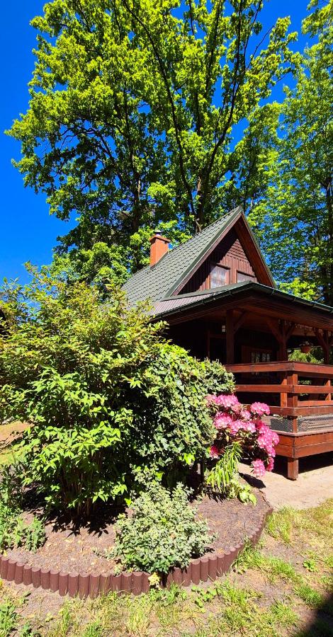 Domek na żołędziowej - Bed and Breakfast Morzyczyn